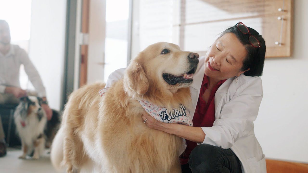 Dr. Ruthanne Chun